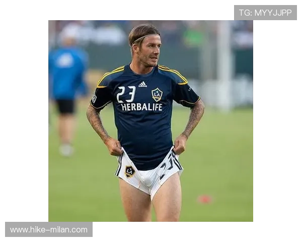 紫金港足球队的明星球员及其在赛场上的表现与贡献分析